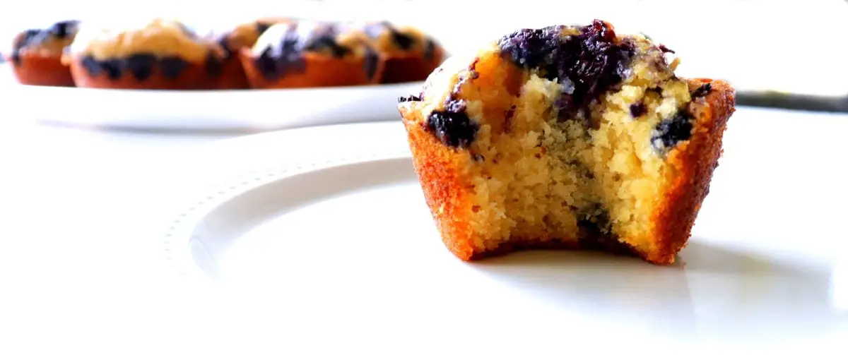 Bitten Blueberry Muffin