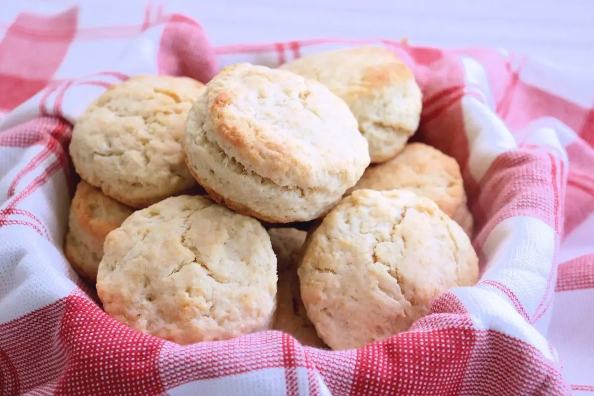Homemade Biscuits Recipe