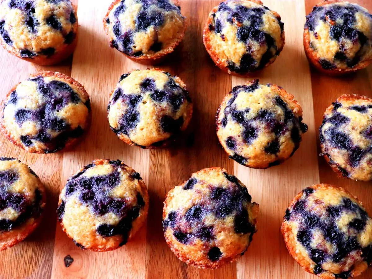 Blueberry Muffins - Meals by Molly : Muffin Recipes