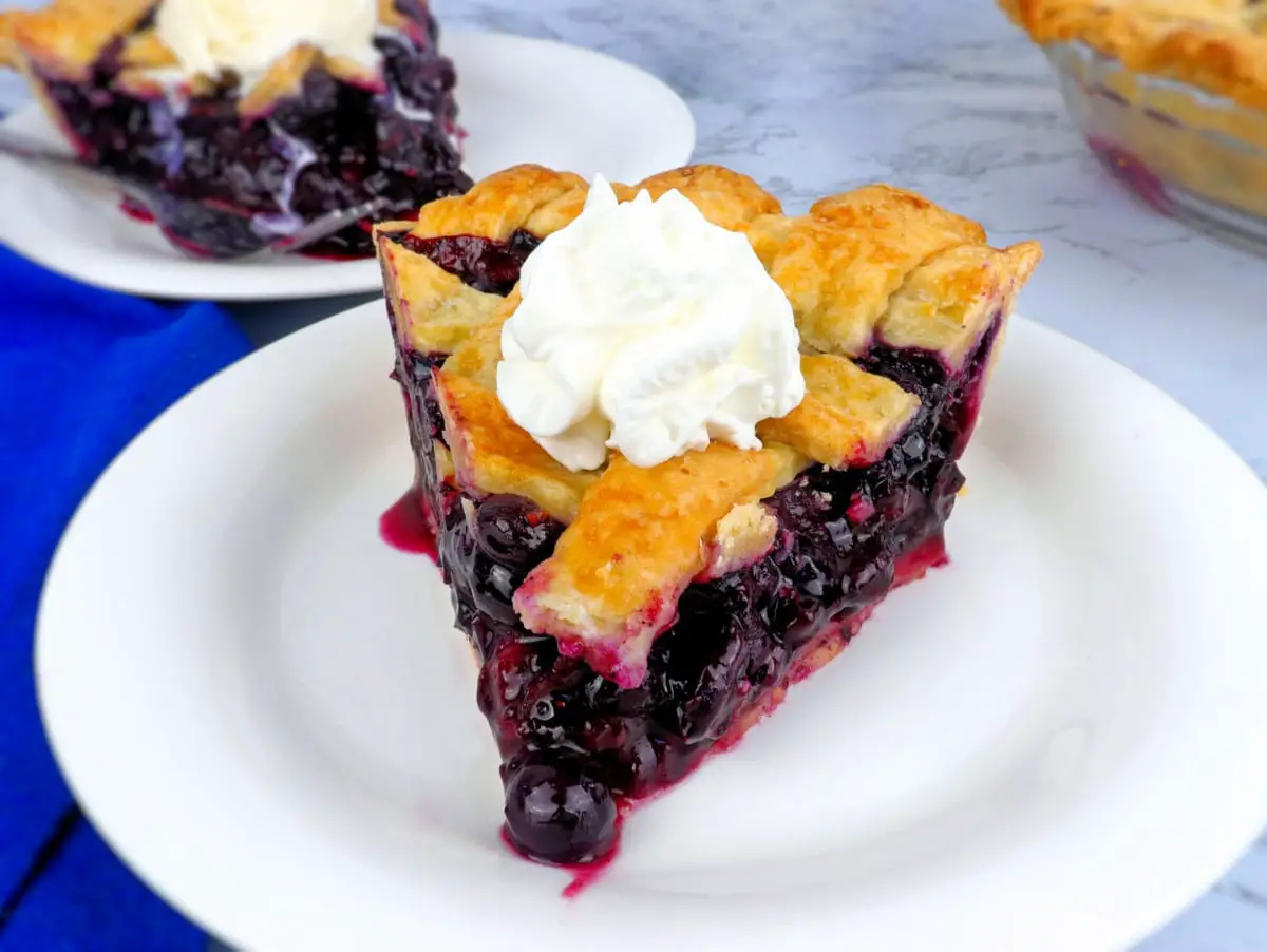 Slice of Blueberry Pie