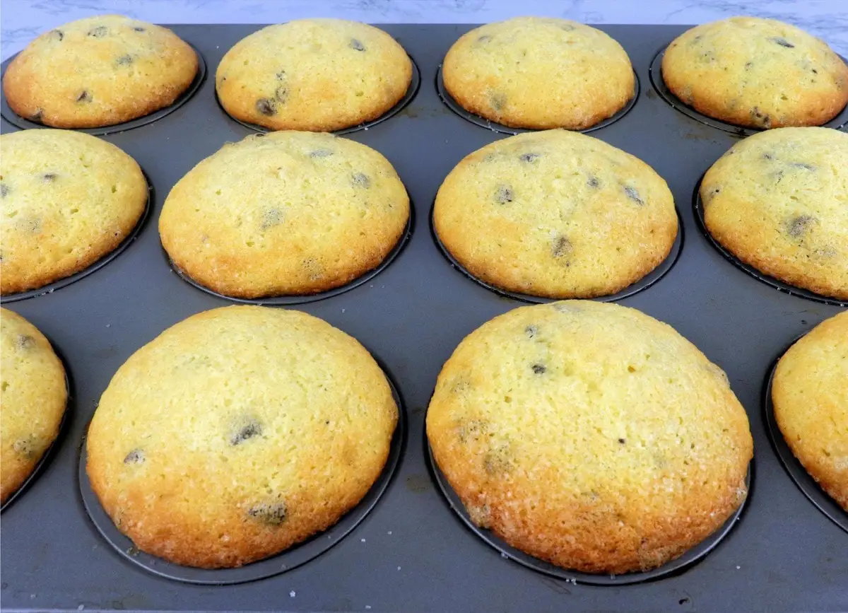 Baked Muffins