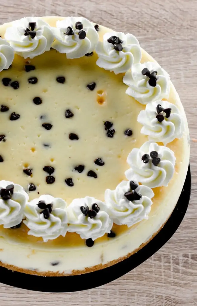 Chocolate Chip Cheesecake with Whipped Cream