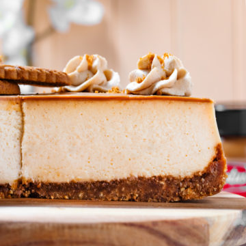 side view slice cheesecake