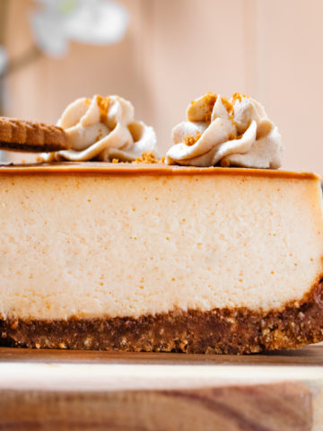 side view slice cheesecake